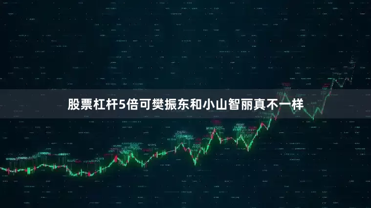 股票杠杆5倍可樊振东和小山智丽真不一样