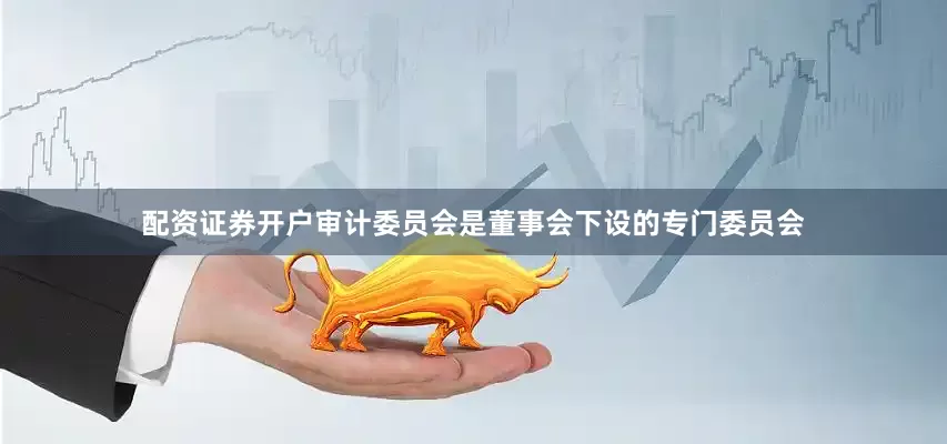 配资证券开户审计委员会是董事会下设的专门委员会