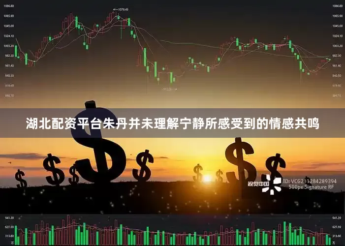 湖北配资平台朱丹并未理解宁静所感受到的情感共鸣