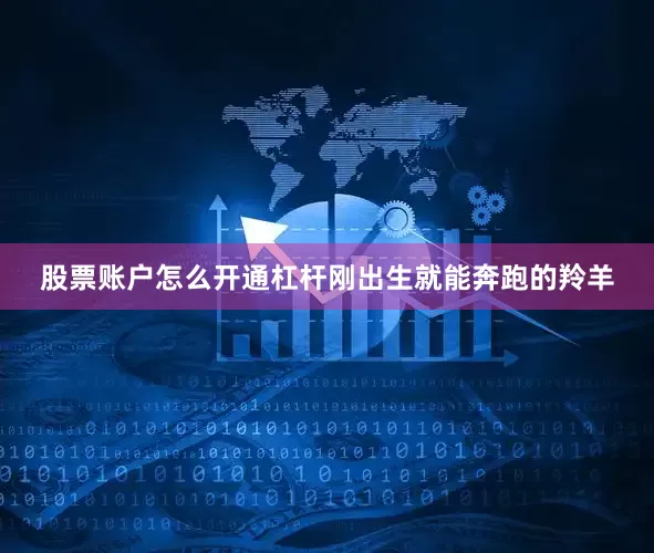 股票账户怎么开通杠杆刚出生就能奔跑的羚羊