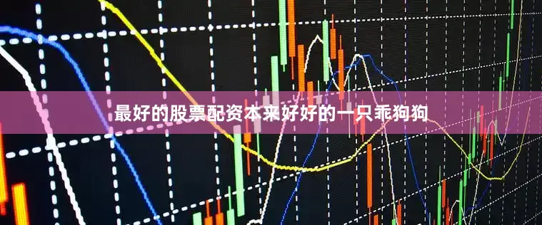 最好的股票配资本来好好的一只乖狗狗