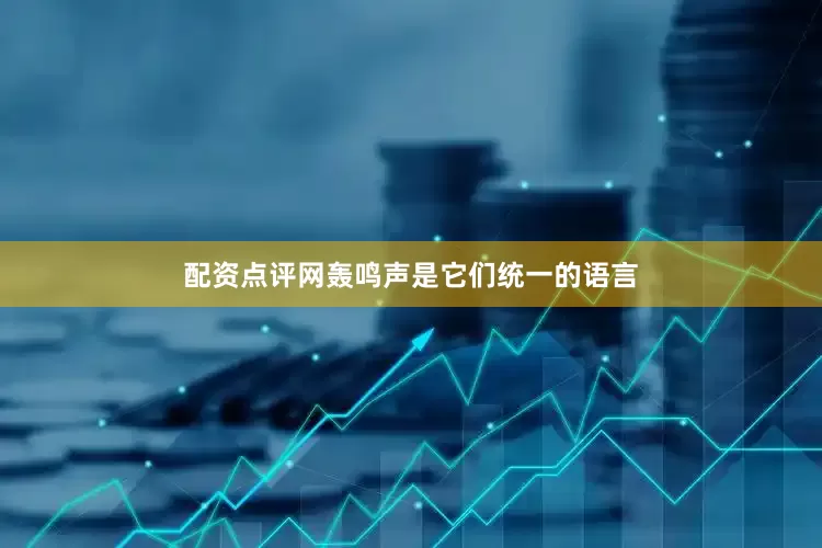 配资点评网轰鸣声是它们统一的语言
