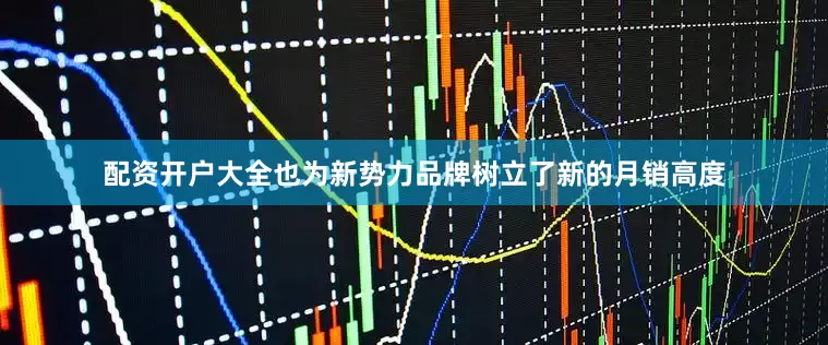 配资开户大全也为新势力品牌树立了新的月销高度