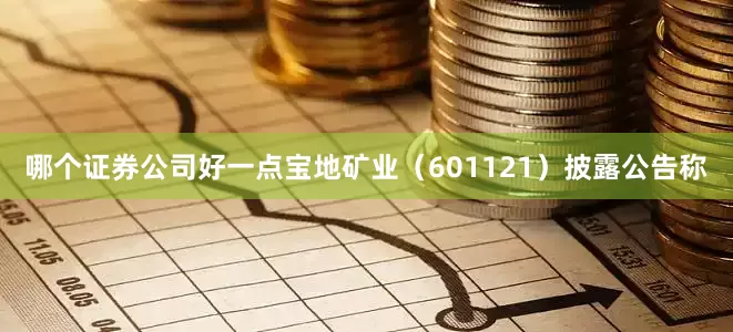 哪个证券公司好一点宝地矿业（601121）披露公告称